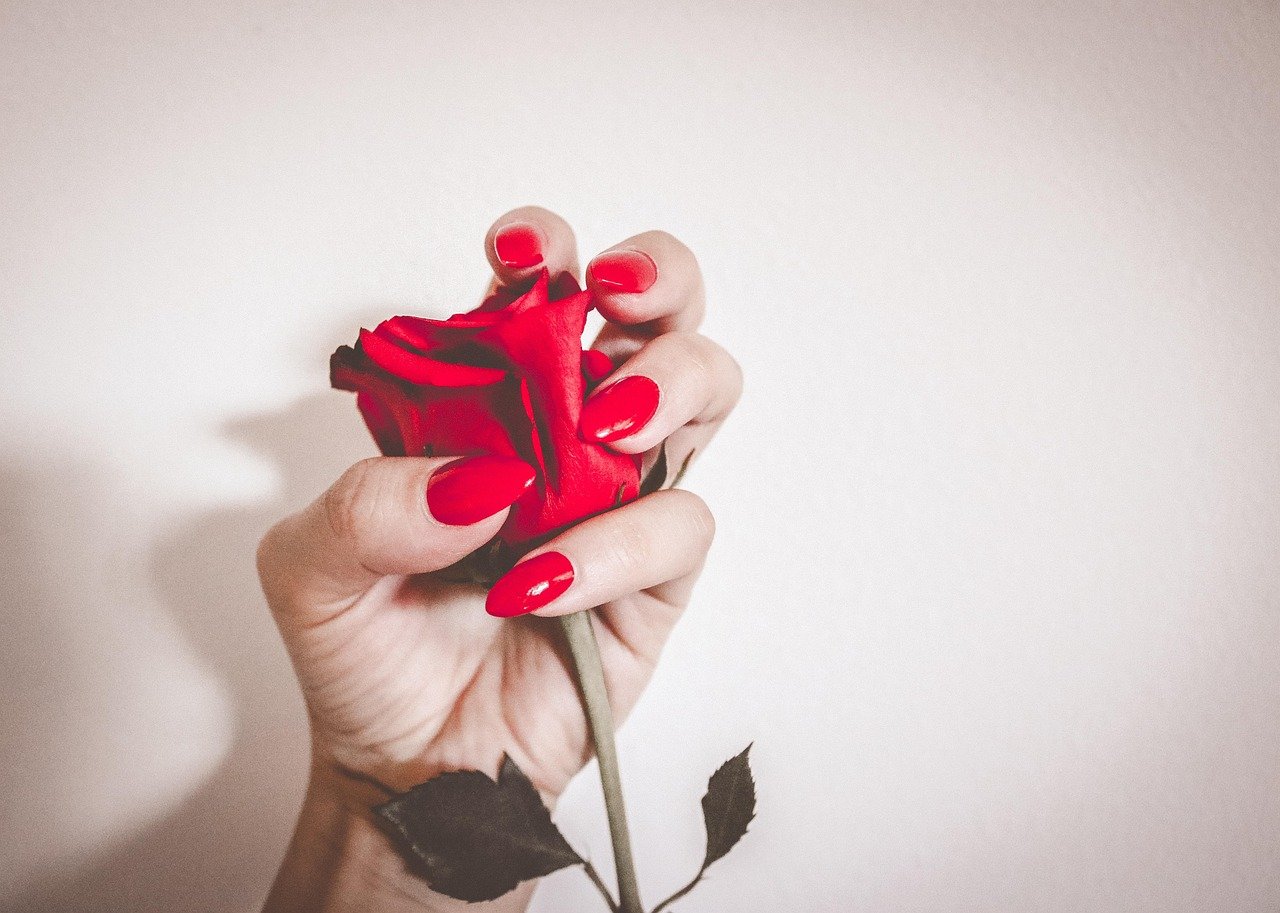 red, beautiful flowers, nails, manicure, flower background, girl, nails manicure, woman, glamour, rose flower, flower wallpaper, polish, color, nail polish, make-up, rose, nature, flower