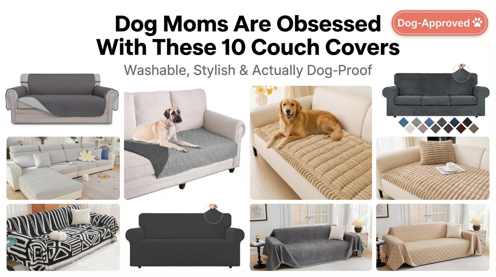 Dog Moms Are Obsessed With These 10 Couch Covers